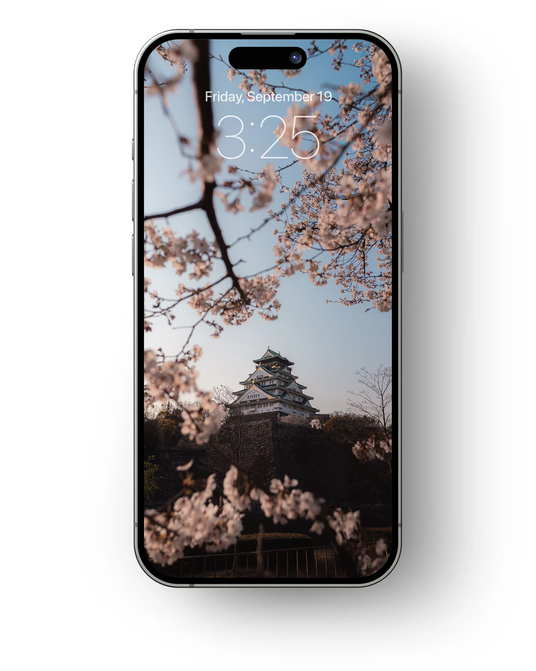 Cherry Blossoms - Mobile Wallpaper Pack - Vol 1 - Image 4