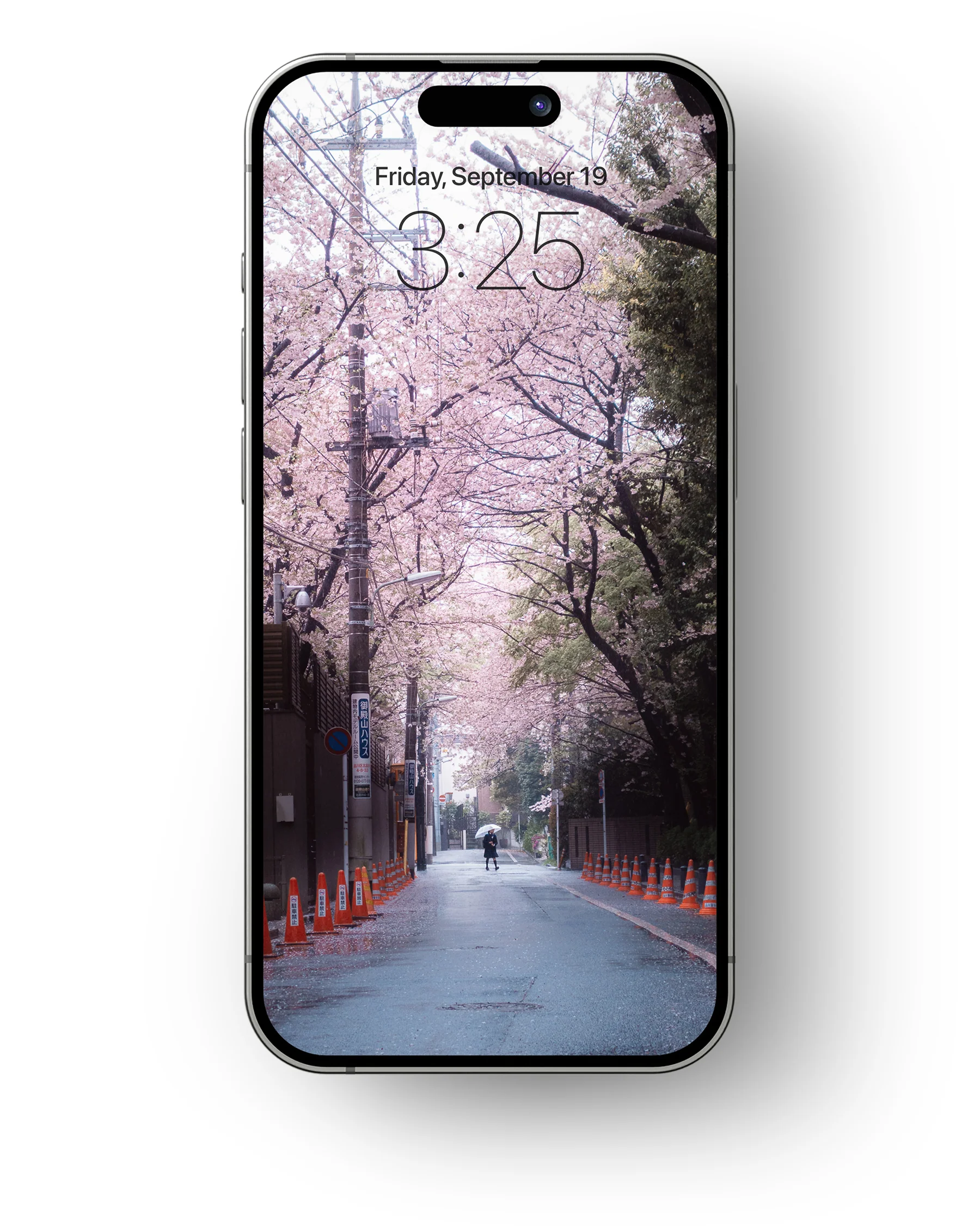 Cherry Blossoms - Mobile Wallpaper Pack - Vol 1 - Image 5