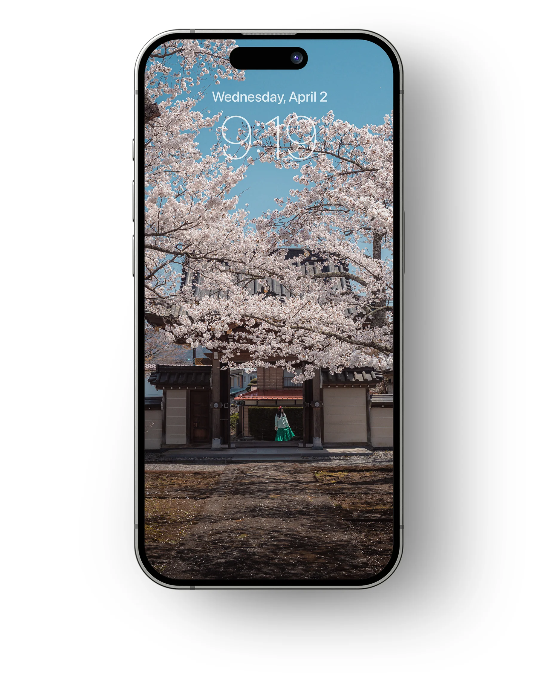 Cherry Blossoms - Mobile Wallpaper Pack - Vol 2 - Image 5